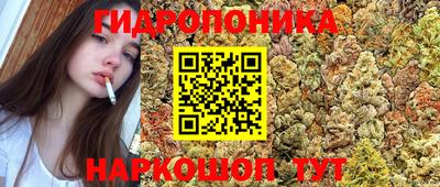 прущие грибы Будённовск