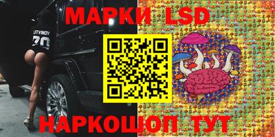 прущие грибы Будённовск