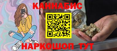 прущие грибы Будённовск