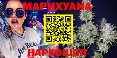 прущие грибы Будённовск